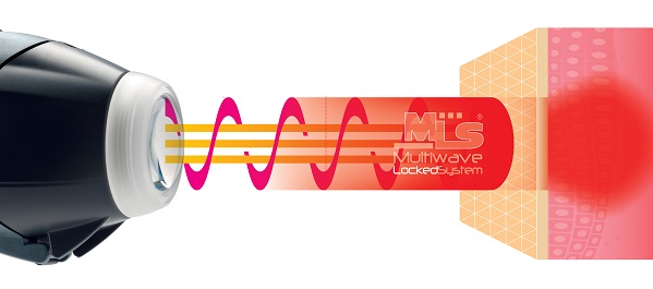 Laser MLS veterinaire